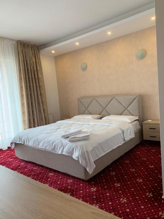 Hotel VEȘTEM