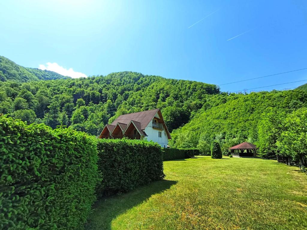 Pensiune POARTA RAIULUI