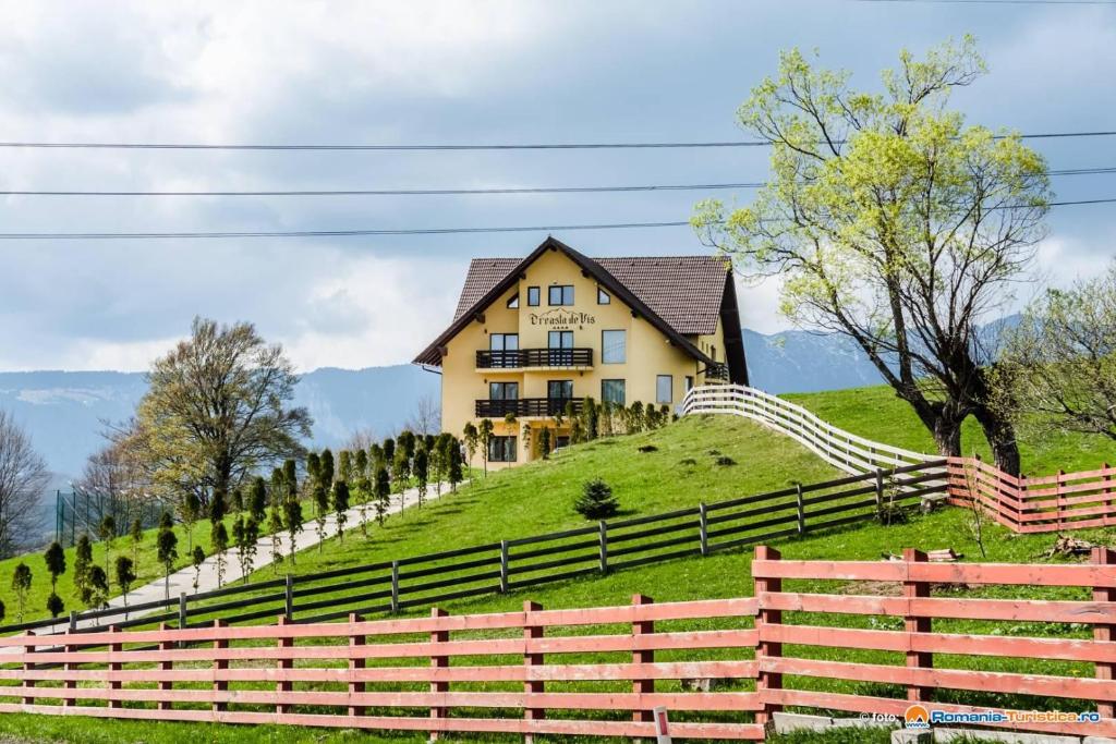 Pensiune CREASTA DE VIS