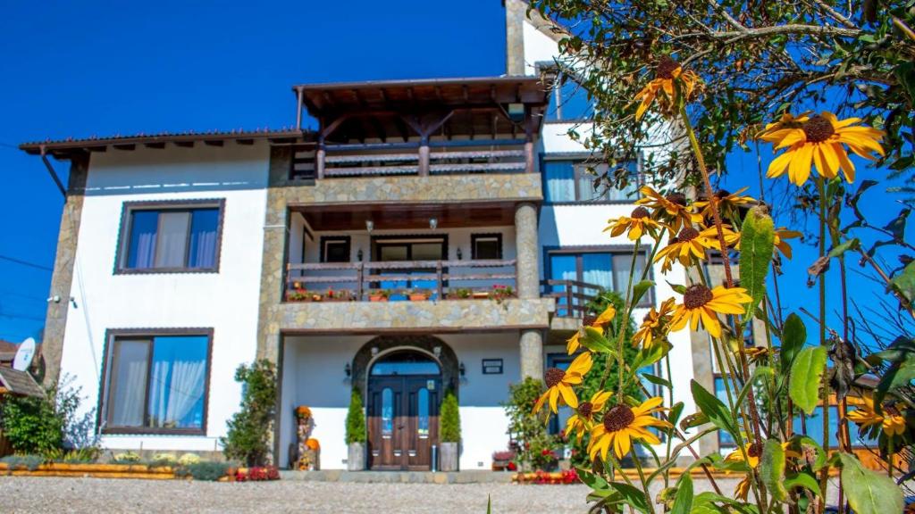 Pensiune CASA BRĂDET