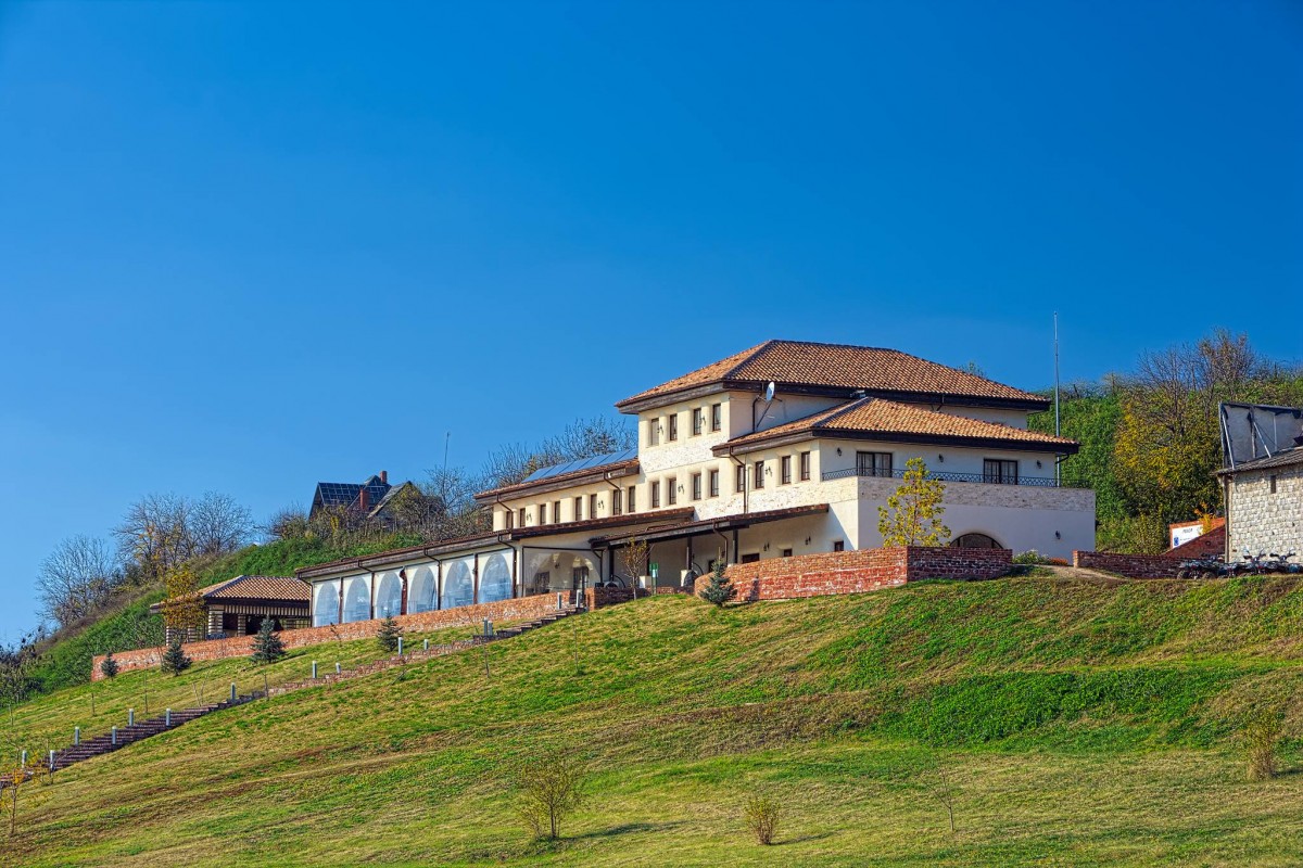 Pensiune DOMENIUL GREACA