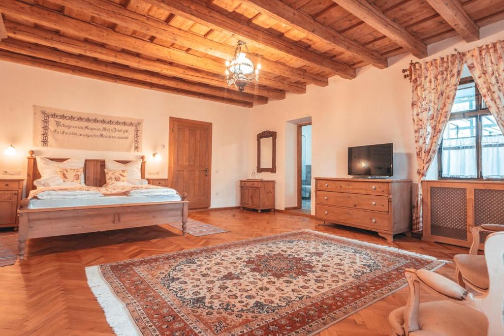 Pensiune ZIDUL CETĂȚII