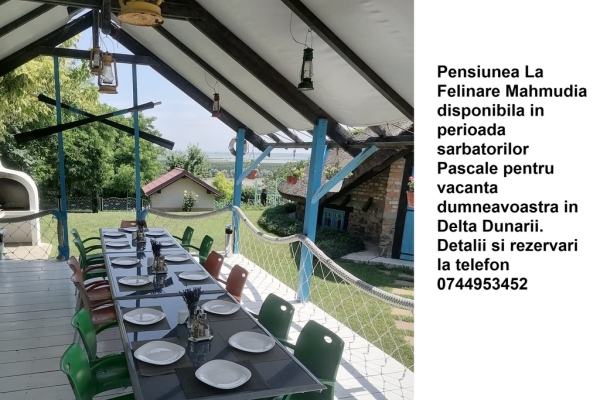 Pensiune LA FELINARE