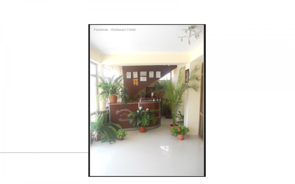 Pensiune CRISTAL