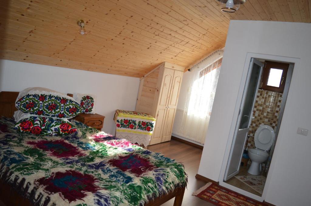 Pensiune LA VASILE LA CAZAN