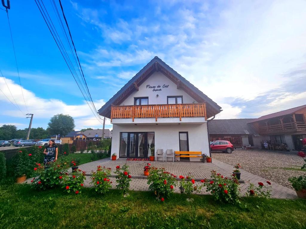 Pensiune FLOARE DE COLȚ SĂPÂNȚA