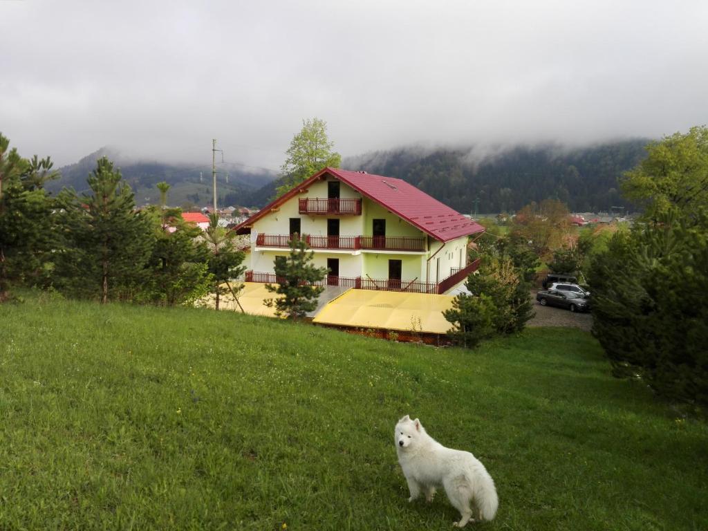 Pensiune GRANDEMI BELVEDERE BUCOVINA