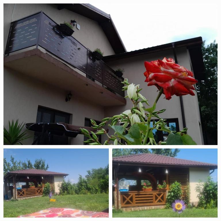Pensiune PIATRA ROȘIE