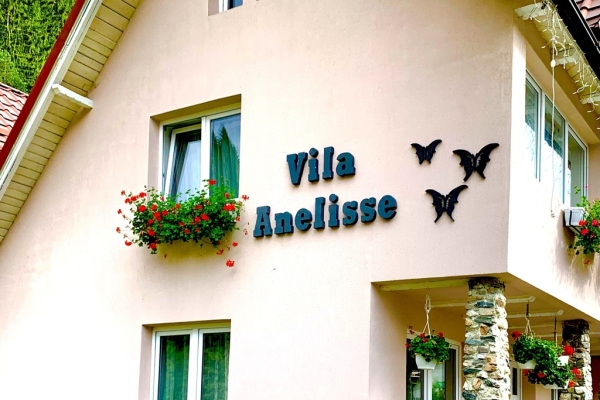 Pensiune Anelisse Inn