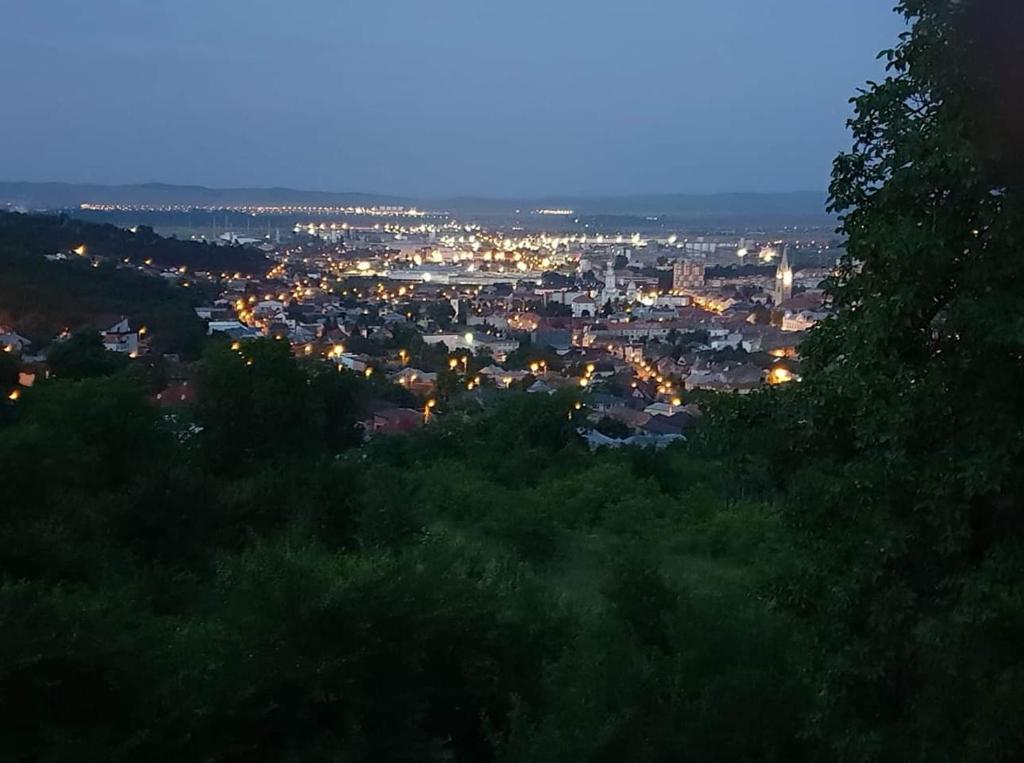 Pensiune Bella Vista