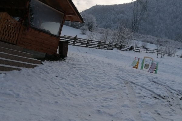 Pensiune Casa de Lângă Pădure