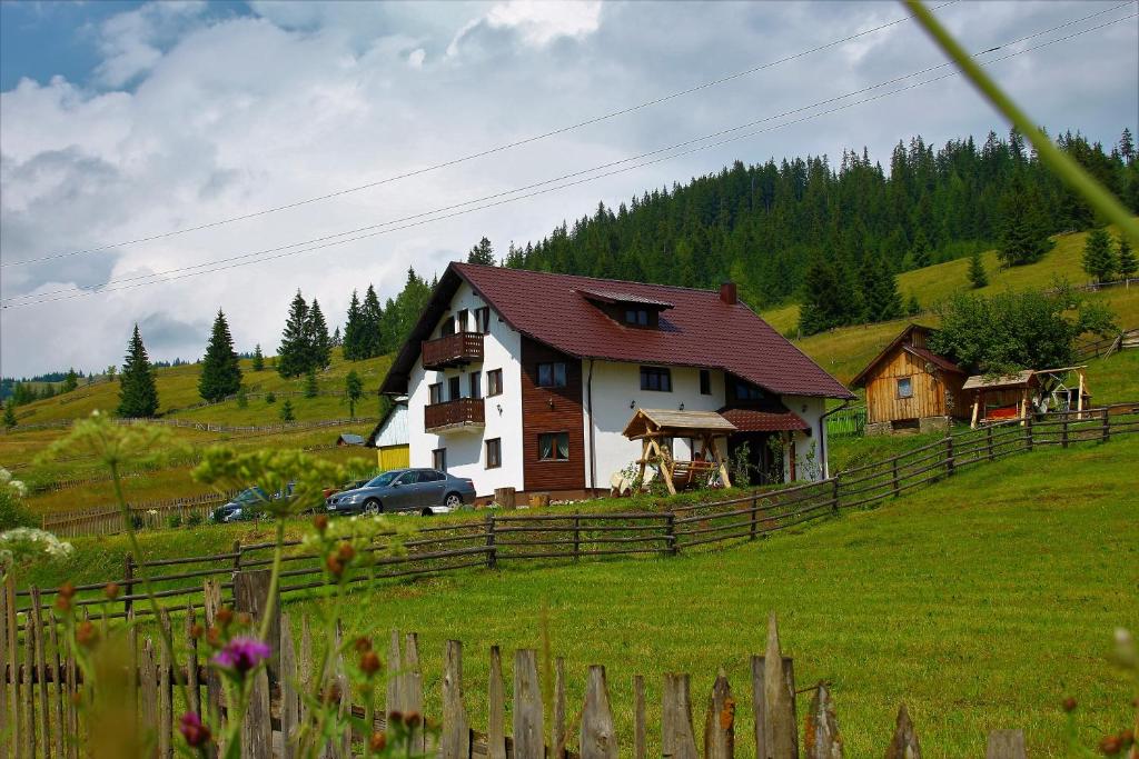 Pensiune Casa Din Plai