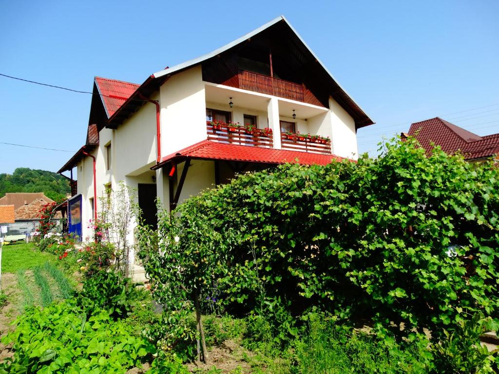 Pensiune Casa Elena