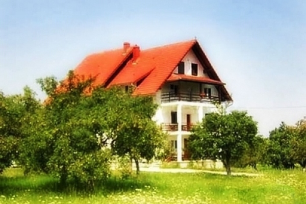 Pensiune DIN LIVADĂ