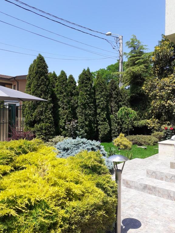 Vila Green House