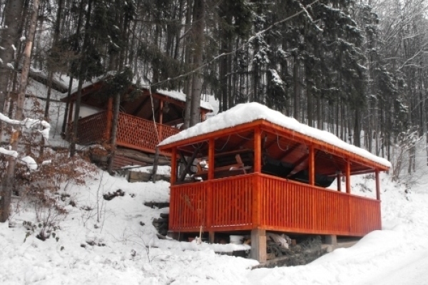 Vila Molidului