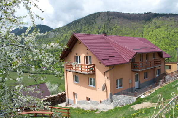 Casa 2 Băieți