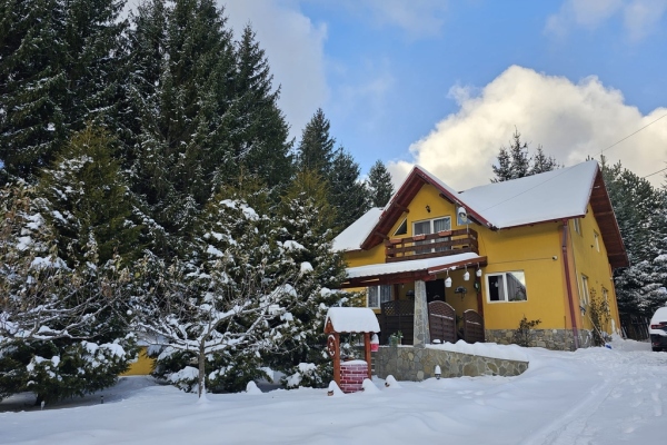 Casa din Pădure