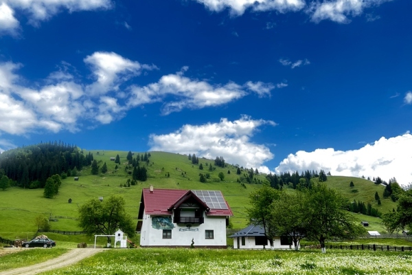 Casa George