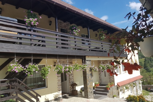 Casa Petruța