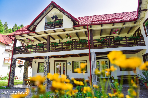 Vila Angelescu