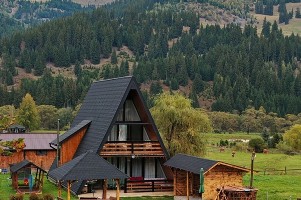 Cabana Alpin