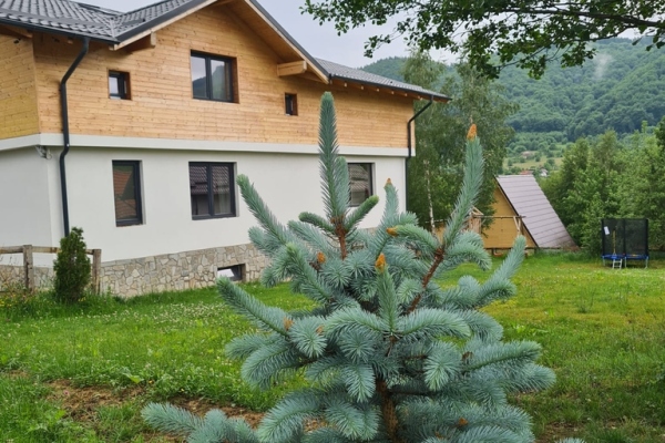 Cabana Bran Mountain Living