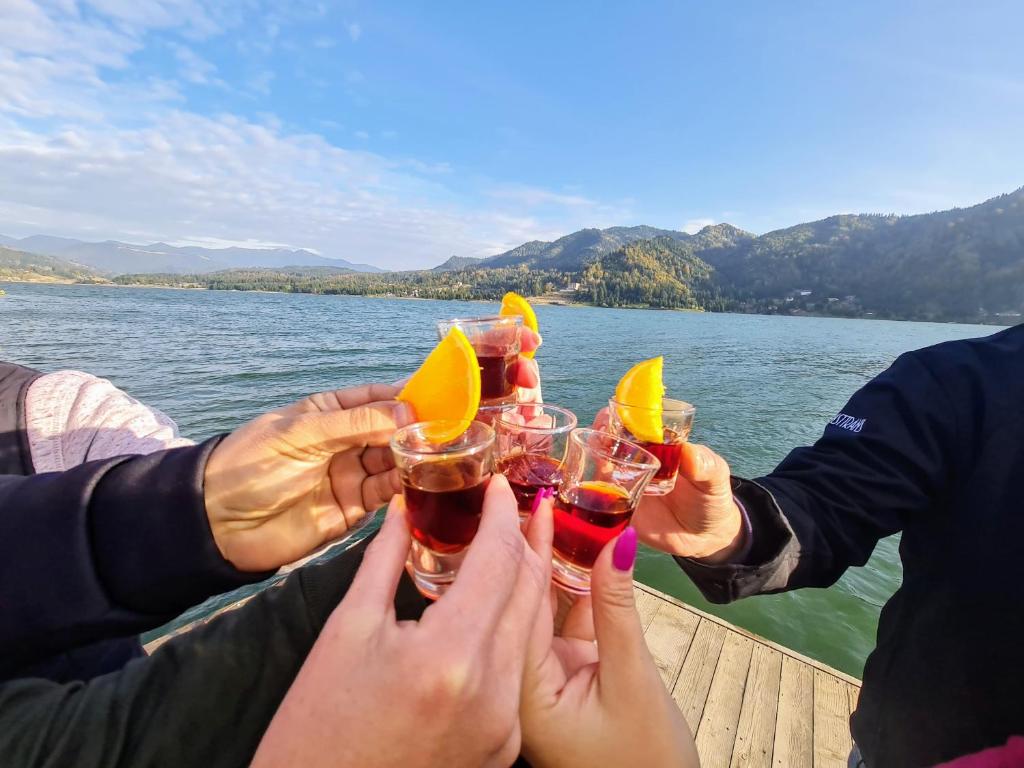 Cabana Colibița
