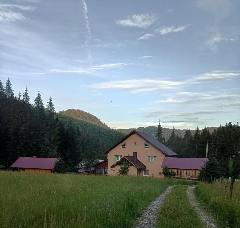 Cabana Colț de Rai