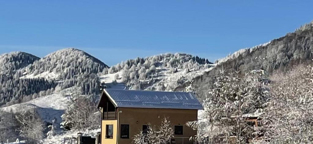 Cabana cu Mesteceni