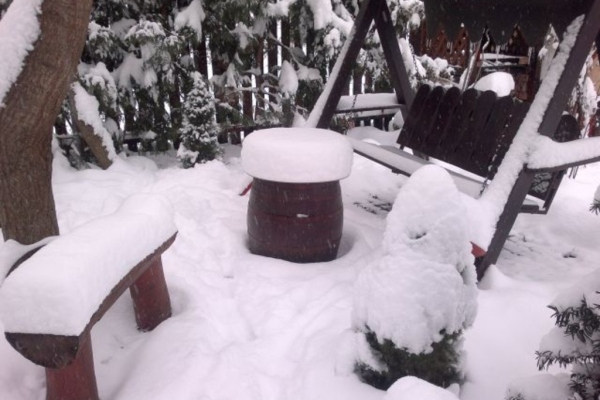 Cabana Forest Camp Transylvania