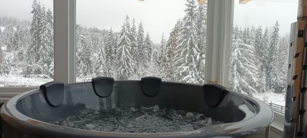 Cabana Ski Calimani