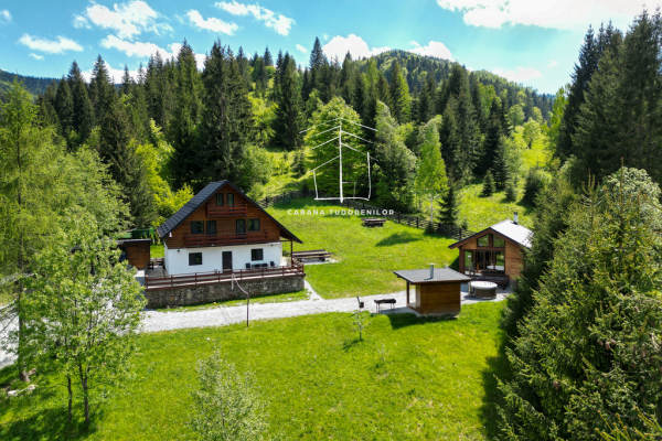 Cabana Tudorenilor