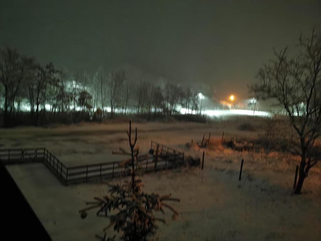 Pensiune LA NENEA IANCU