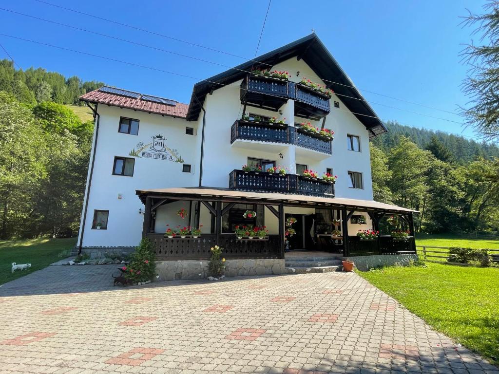 Pensiune REGINA MUNŢILOR A