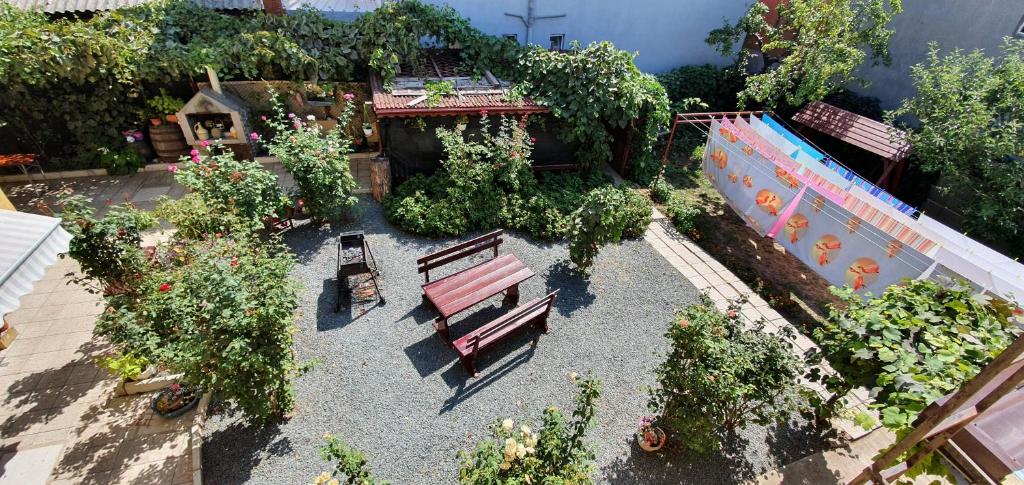 Hostel CINDARELLA