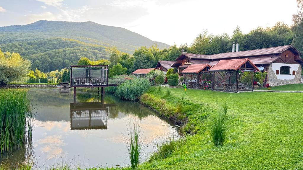 Pensiune DOMENIUL TOMA