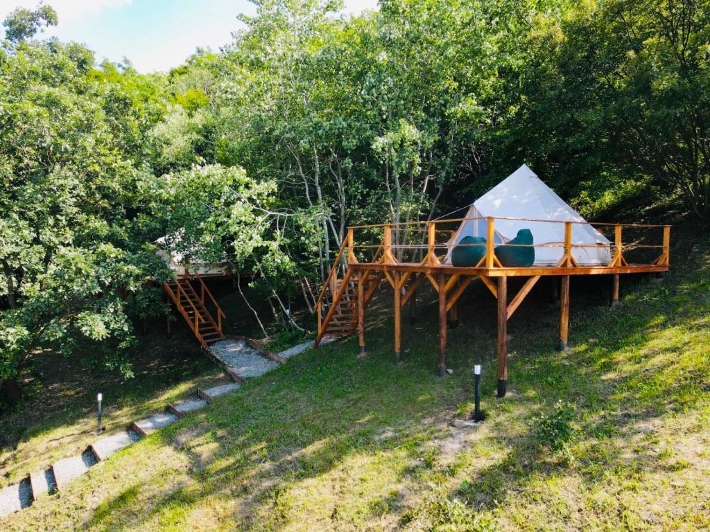 Camping WINE ROAD GLAMPING