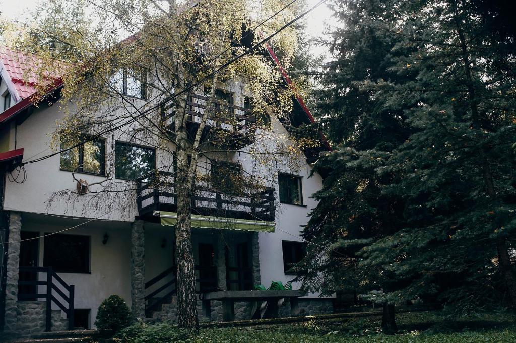 CASA MARIO