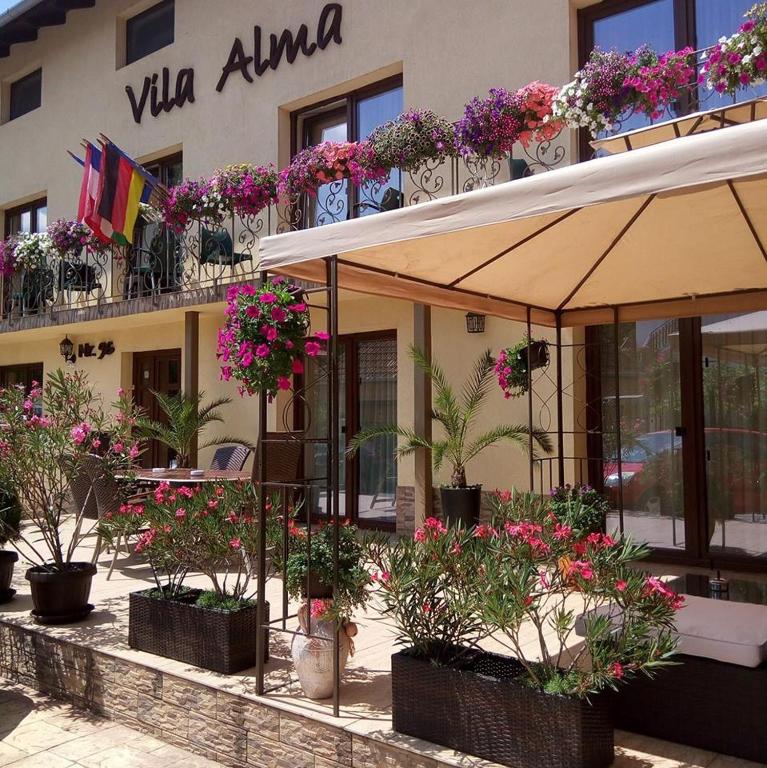 CASA ALMA