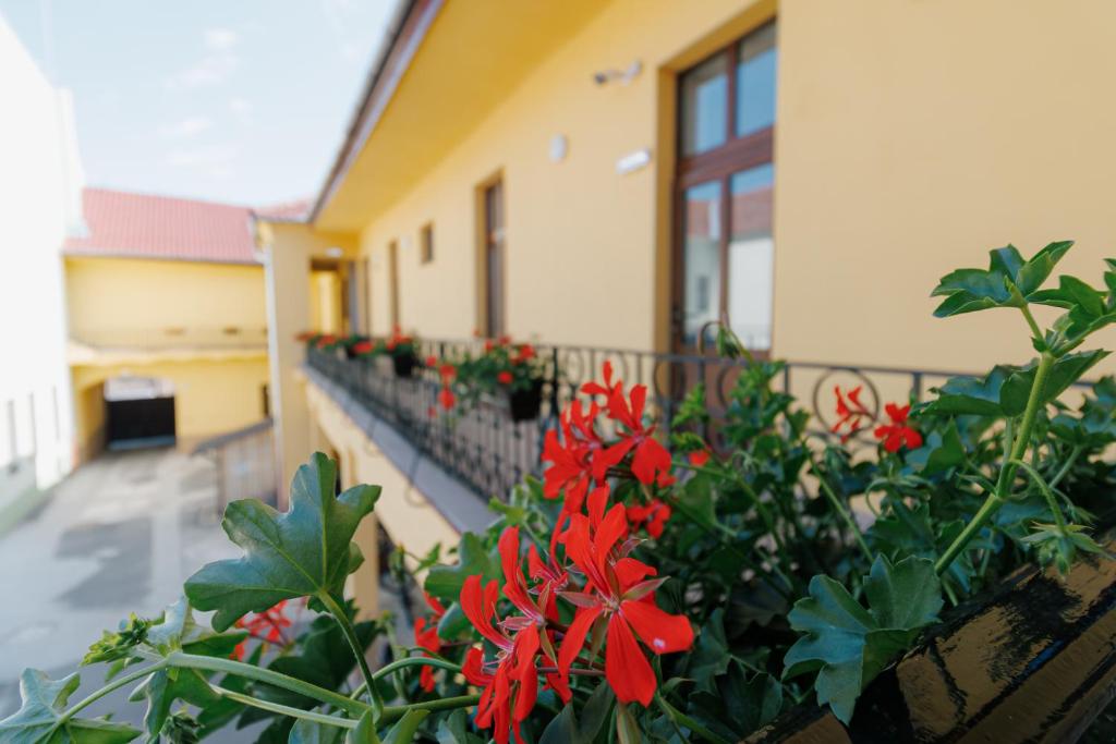 COLLEGIUM VARADINUM