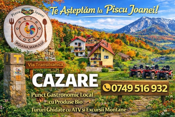 CASA PISCUL IOANEI