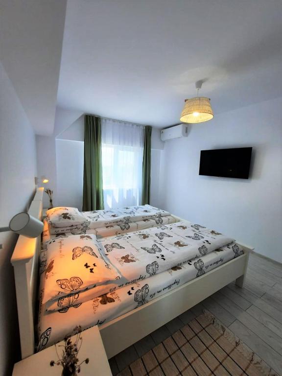 CASA CĂLIN