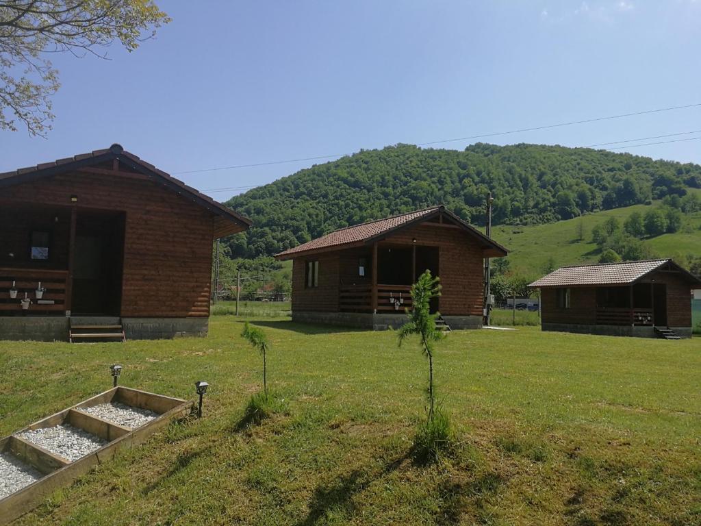 CĂSUȚE ZĂVOI BULZ