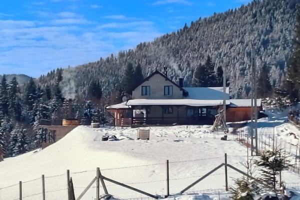 Cabana Adișor
