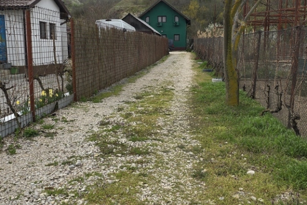 Casa Delta Verde