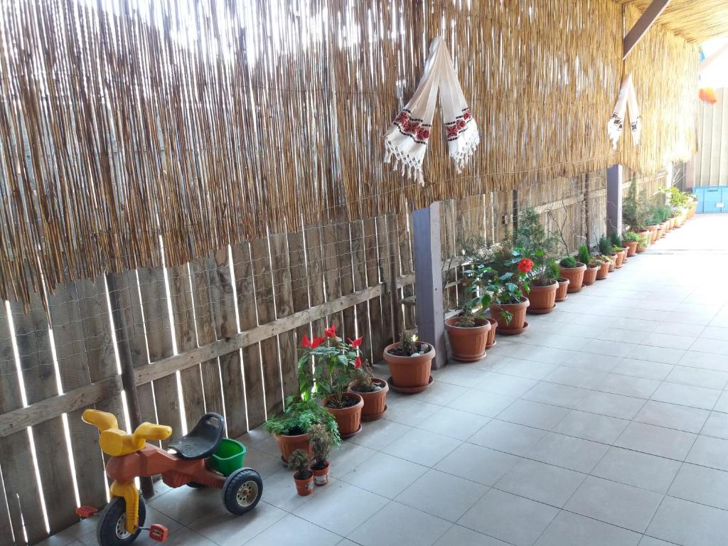 Pensiune CASA RODISA