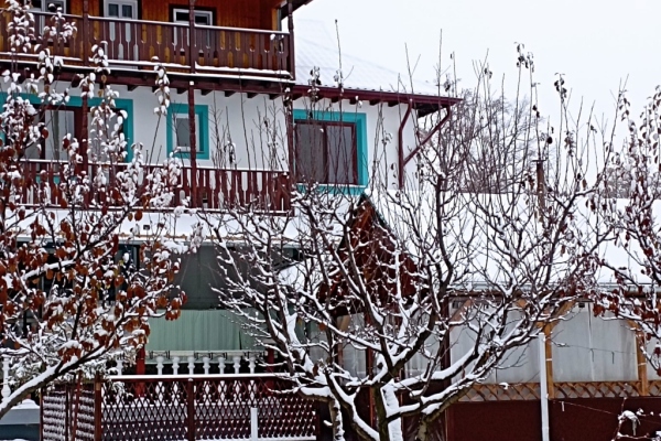 Pensiune Trei Stejari