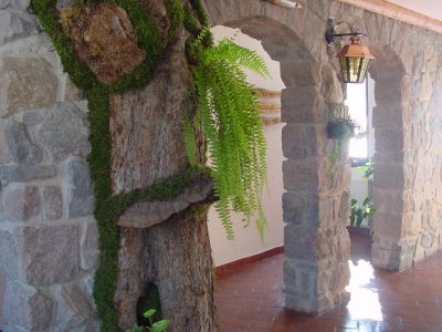 Hotel Fortuna