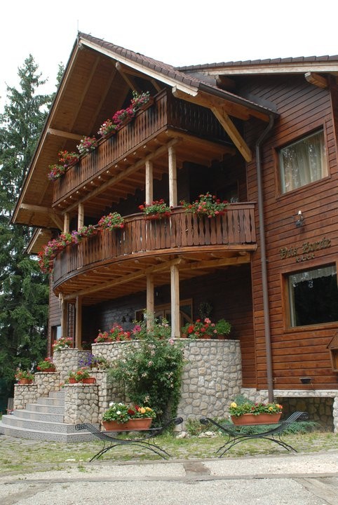 Pensiune Vila Zorile